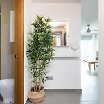 Terrazas De Sotavento By Sunkeyrents Apartamento